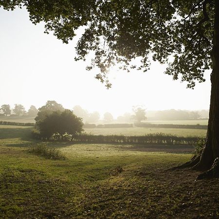 April Cottage Stow-on-the-Wold ภายนอก รูปภาพ