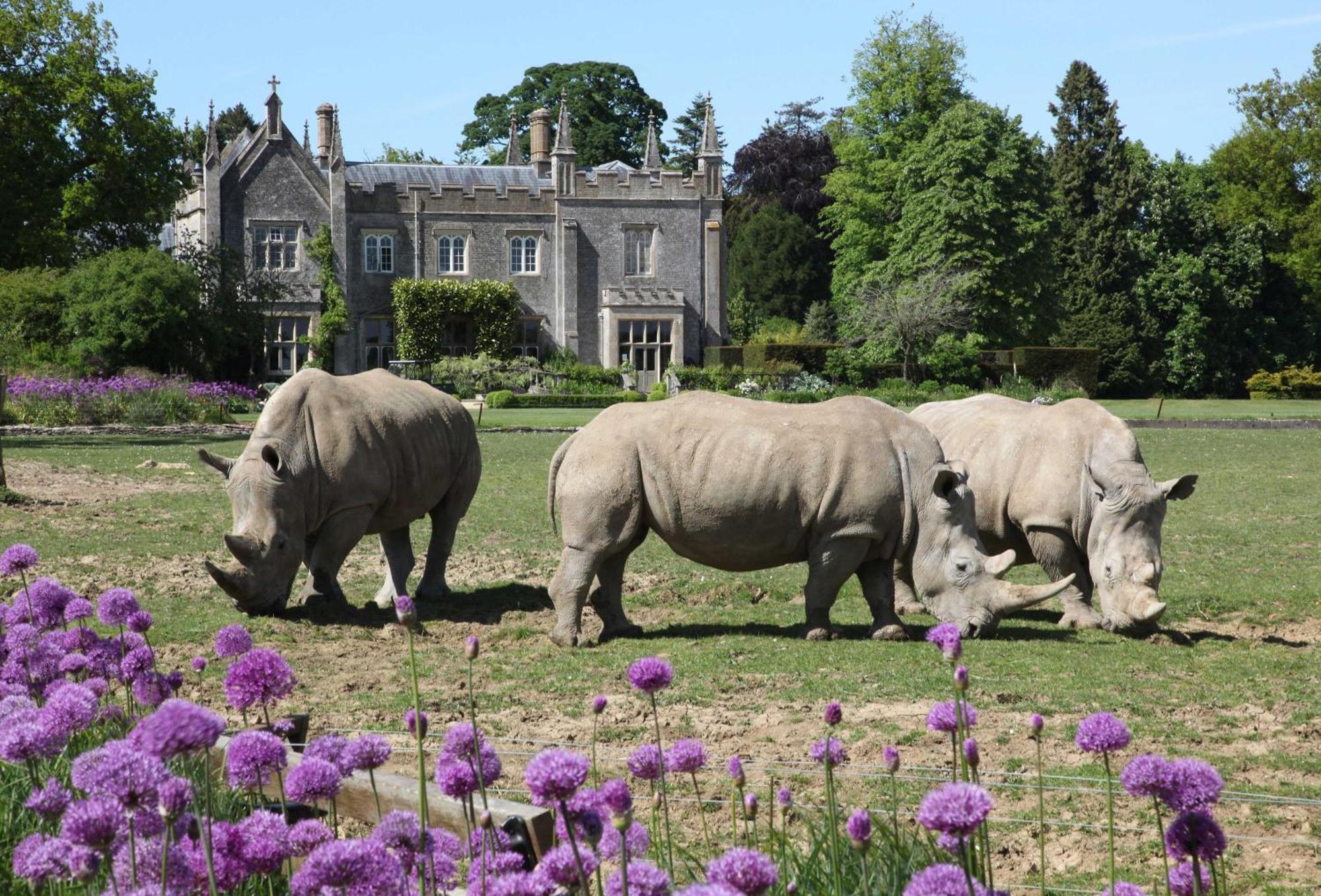 April Cottage Stow-on-the-Wold ภายนอก รูปภาพ